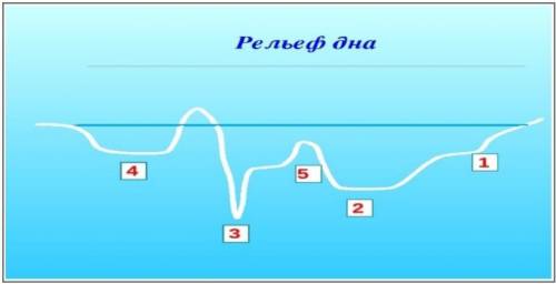 Укажите части рельефа дна океана ​