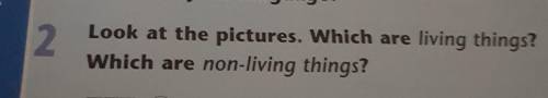 2Look at the pletare which are living things?Which are non living thing?​