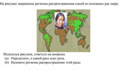 ответьте на вопросы по картинке а) Определите о какой расе идёт речь (б) Назовите регионы распростра