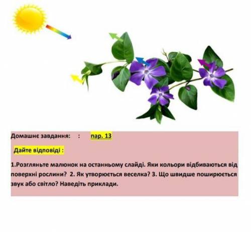 1.Розгляньте малюнок на останньому слайді. Яки кольори відбиваються від поверхні рослини? 2. Як утво