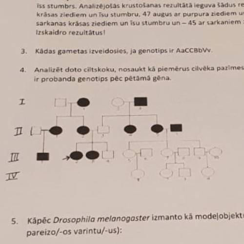 проанализируйте ген. дерево