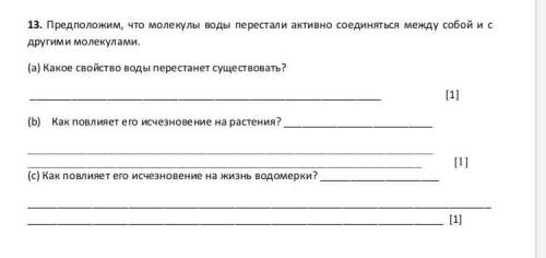 Предположим, что молекулы воды перестали активно соединяться между собой и с другими молекулами.