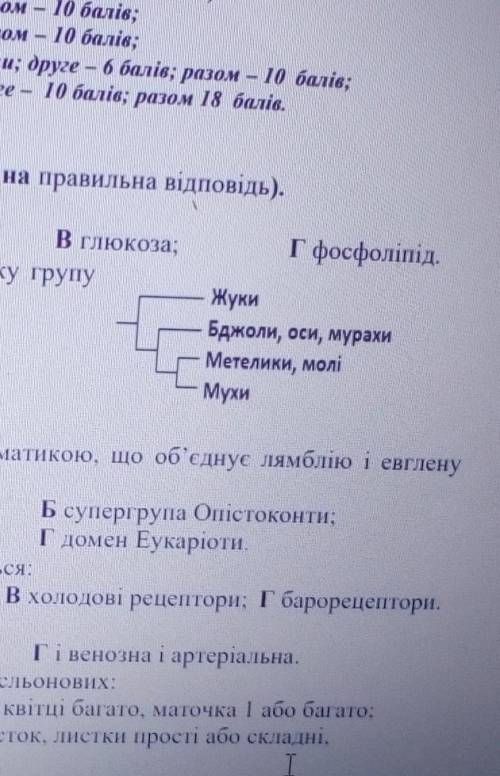 1.Визначте яка речовина є гідрофільною:А вітамін D; Б тестостерон; В глюкоза; Г фосфоліпід.2. Розгля