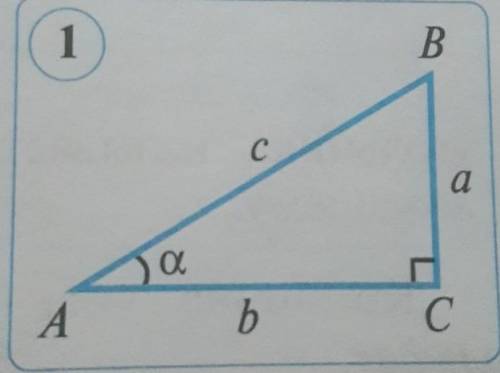 В треугольнике АВС угол C= 90°, AB = 6 cm, BC = 5 cm, AC = 11 cm (см. рис. 1). Найдите значения сину