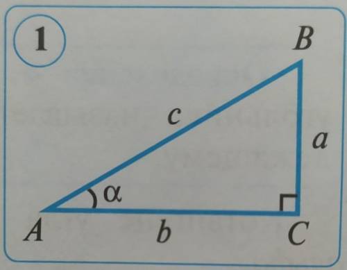 В треугольнике ABC угол C=90 градусов, AB=6 cm, BC=5 cm, AC=√11 cm. Найдите значения синуса, косинус