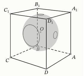 Задача по геометрии Внутри куба ABCDA1B1C1D1 расположен центр O сферы радиуса 10. Сфера пересекает г