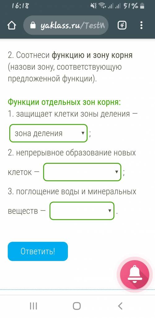 Биология 6 класс сос Соотнеси функцию и зону корня (назови зону, соответствующую предложенной функци