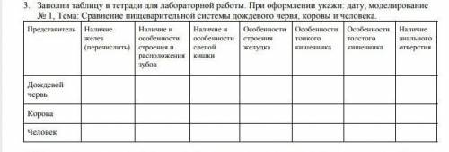 Сравнение пищеварительной системы дождевого червя, коровы и человека​