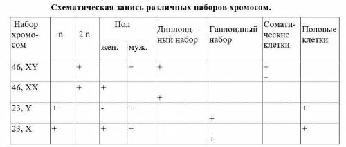 Обобщив знания о нормальных хромосомных наборов мужского и женского организмов, проведите сравнитель