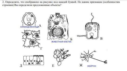 я уже три сделала, если что проверьте правильно или нет умоляю