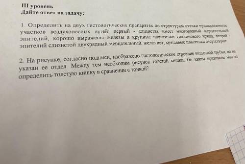 написать ответы на вопросы по гистологии Буду благодарна.