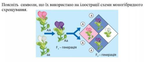 сделать За лучший ответ еще +