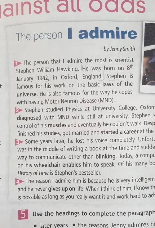 When and where was Stephen Hawking born? Where did he study? What subjects was he interested in? Wha