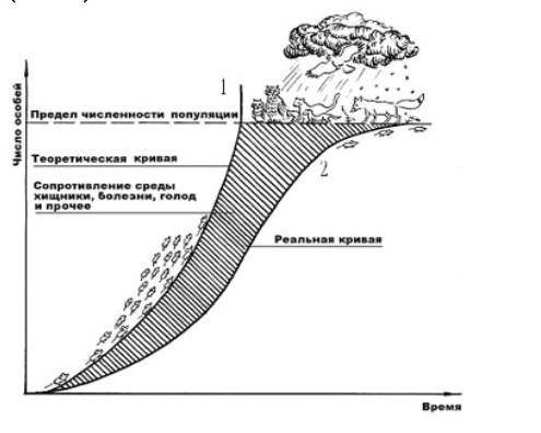 5. На рисунке изображена кривая роста популяции. а) Дайте определение понятию «Сопротивление среды»