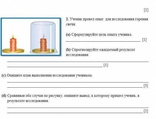 соч по естествознания 5класс​