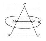 На рисунку площина α || АВ трикутника АВС і перетинає його сторони в точках M і N. Точки M і N - сер