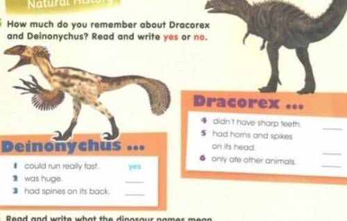 How much do you remember about dracorex and deinonychus?read and write yes or no​