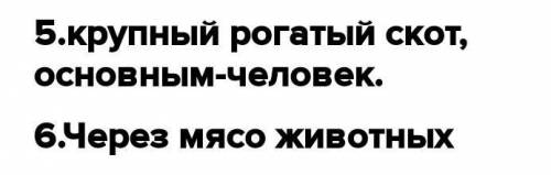 5. Какие животные являются хозяевами бычьего солитера? 6. Как могут заражаться человек и животные бы