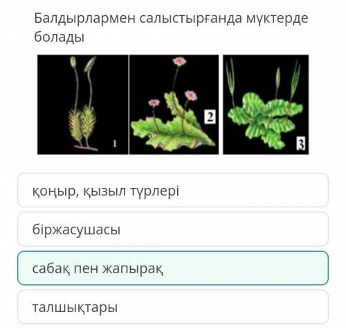 Балдырлармен салыстырғанда мүктерде болады, ТЖБ БИОЛОГИЯ На, берите ​