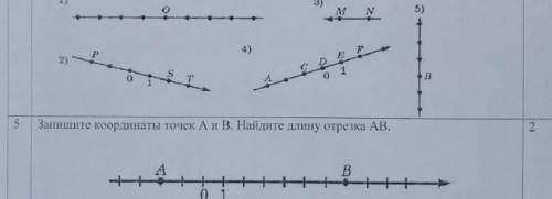 Какое из изображение не относится к координальной прямом​