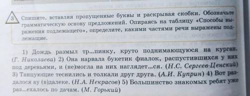 Спишите, вставляя пропущенные буквы и раскрывая скобки. Обозначьте грамматическую основу предложений