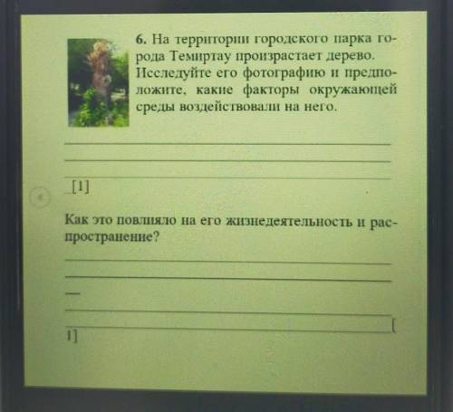 6. На территории городского парка го- рода Темиртау произрастает дерево.Исследуйте его фотографию и