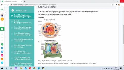 Биология СОЧ көмек сұраймын