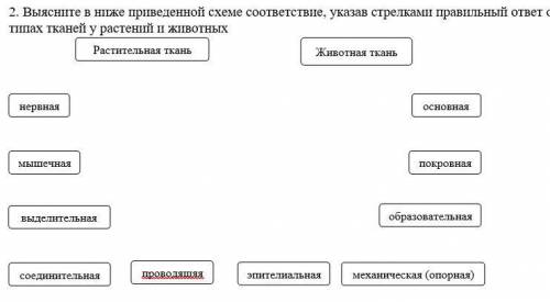 2. Выясните в ниже приведенной схеме соответствие, указав стрелками правильный ответ о типах тканей