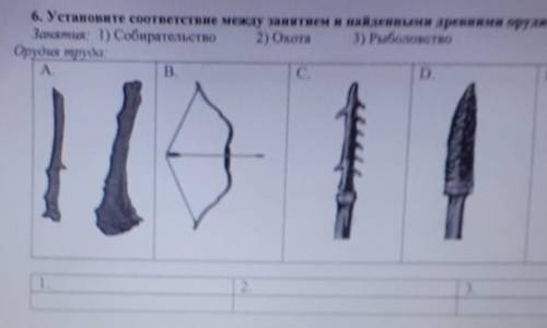 Установите соответствие между занятием древными орудиями труда​