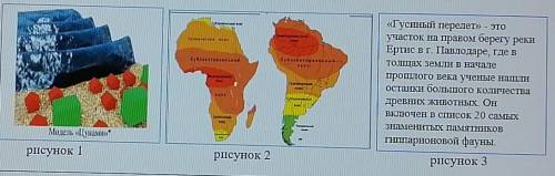 4. По рисункам определите методы географических исследований