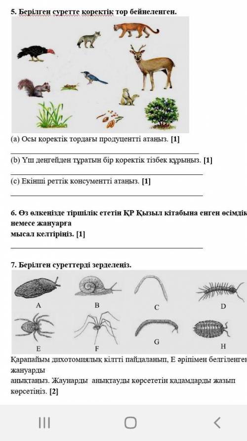 Осы үшеуінін жауабын кім тапса берем