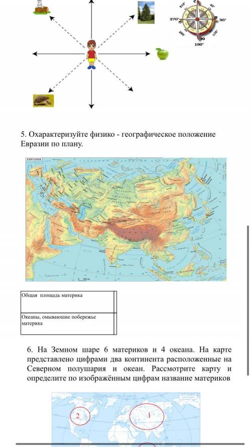 Охарактеризуйте физико - географическое положение Евразии по плану.(5 задание)