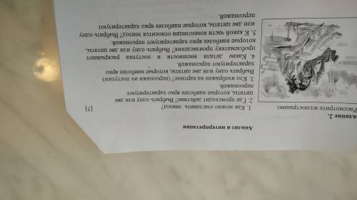 Анализ и интерпретация повести Ася 6 глава Соч русская литература