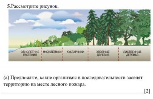 (а) Предложите, какие организмы в последовательности заселят территорию на месте лесного пожара.