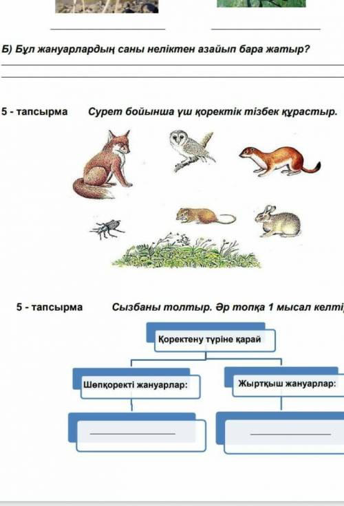 5 тапсыпмадан екеу тұрғой соны шығарып бересіздерма​