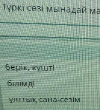 Түркі сөзінің мағынасы қандай жауабын беріңіздерш керек болып тұр тжб​