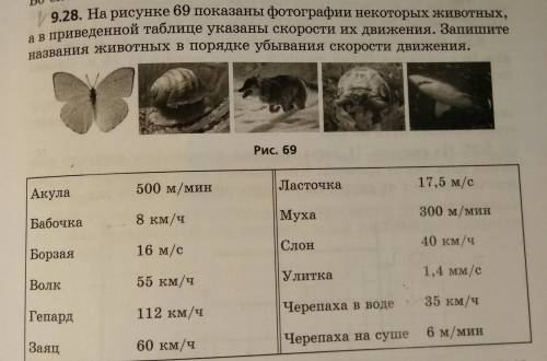 На рисунке 69 показаны фотографии некоторых животных, а в приведённой таблице указаны скорости их дв