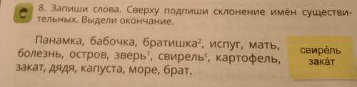 Запиши слова. Сверху подпиши склонение ну вот