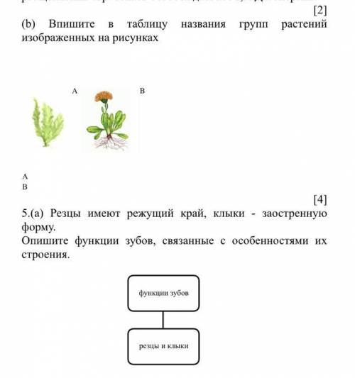 Сделайте два задания реально