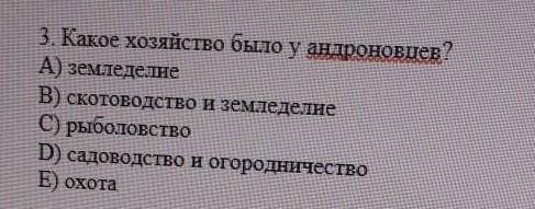 Какое хозяйство было у андроновцев!?