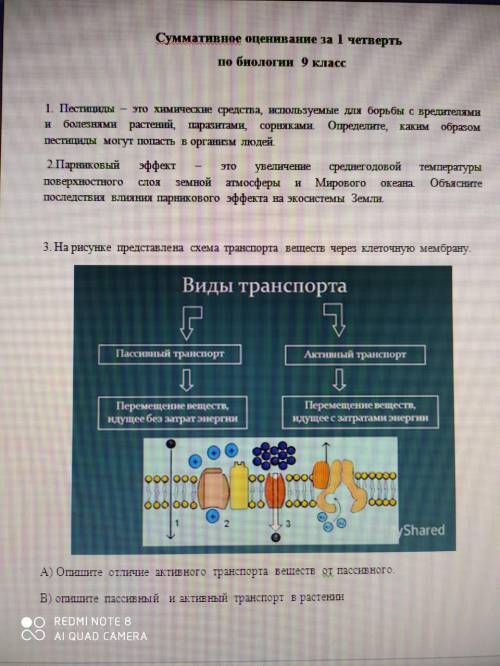 Задание 3 На рисунке представлена схема транспорта веществ через клеточную мембрану. А) Опишите отли