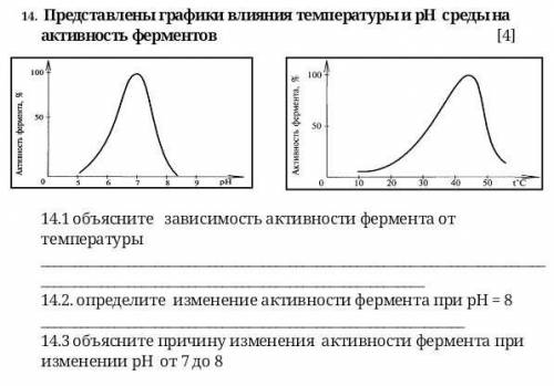 Представлены графики влияния температуры и рН среды на активность ферментов ​