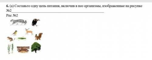 Шестое а Составьте одну цепь цитаты включив в неё организмы изображенные на рисунке рисунок 2​