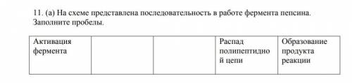 На схеме представлена последовательность в работе фермента пепсина. Заполните пробелы