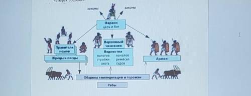 Составь 2 толстых вопроса по несплошному тексту ​