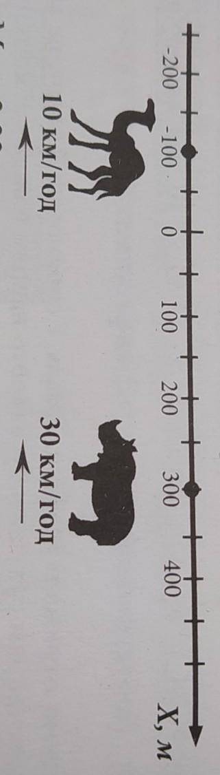 за сколько время носорог пройлет 700 метров я знаю они встретятся на -400. носорог пройдет 700 метро