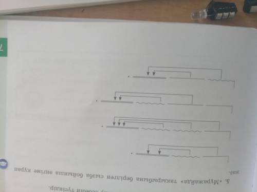 Қазақ тілі 4 сынып 33 сабақ 5 жаттығу