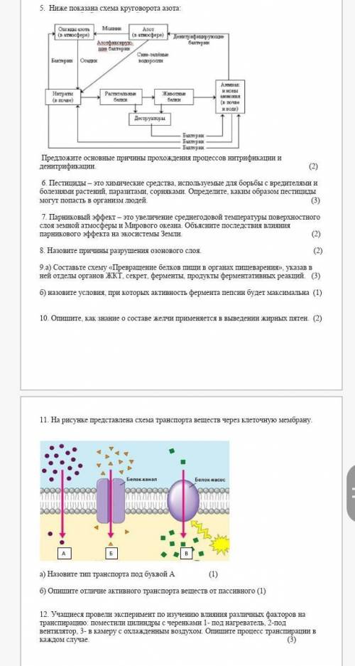 Кто не знает, не отвечайте​