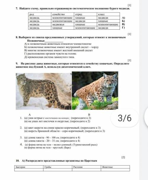 7. Найдите схему, правильно отражающую систематическое положение бурого медведя. А)Б)В)Г)[1]8. Выбер