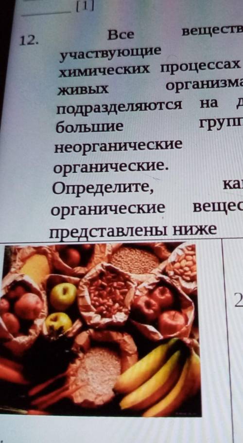 Данного элемента [1]в12.Все вещества,участвующиехимических процессах вЖИВЫХорганизмах,подразделЯЮТСЯ